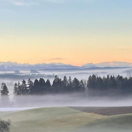 Ferienwohnungen Mama Elva Leutkirch im Allgäu エクステリア 写真